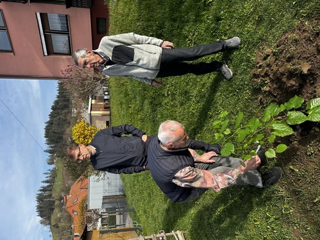 Župan zasadil lipo ob Mestni tržnici (4)